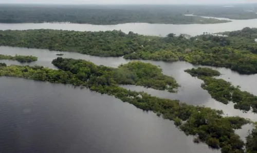 Imagem ilustrativa da imagem Ibama recebe apoio da Força Nacional para preservação da Amazônia