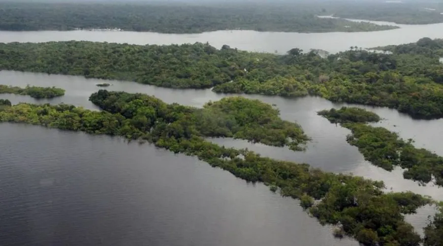 Imagem ilustrativa da imagem Amazônia tem menor índice de desmatamento dos últimos 4 anos