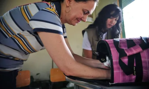 Brasília - A Secretaria de Saúde do Distrito Federal realiza, neste sábado (22), campanha de vacinação antirrábica para cães e gatos, na área urbana (Marcelo Camargo/Agência Brasil)