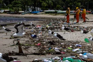 Imagem ilustrativa da imagem Praia de São Francisco tomada por toneladas de lixo