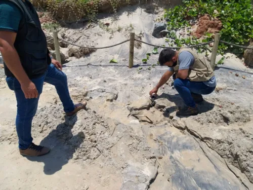 Imagem ilustrativa da imagem Moradores de Búzios são autuados por despejar água de piscina em praia