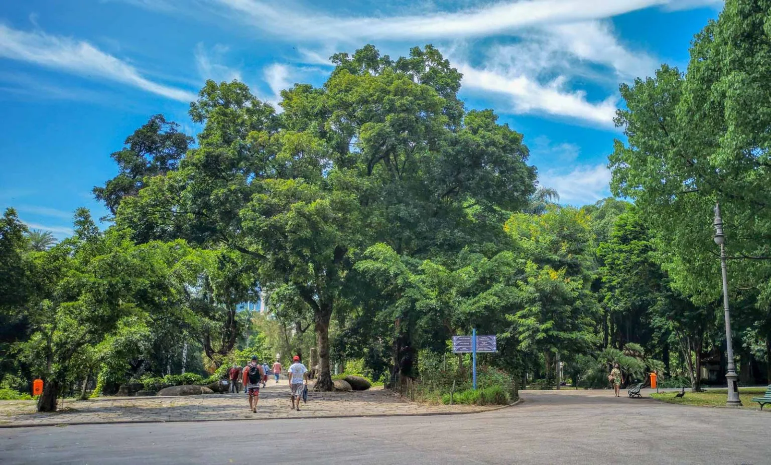 Imagem ilustrativa da imagem Campo de Santana e mais 37 parques são reabertos no Rio