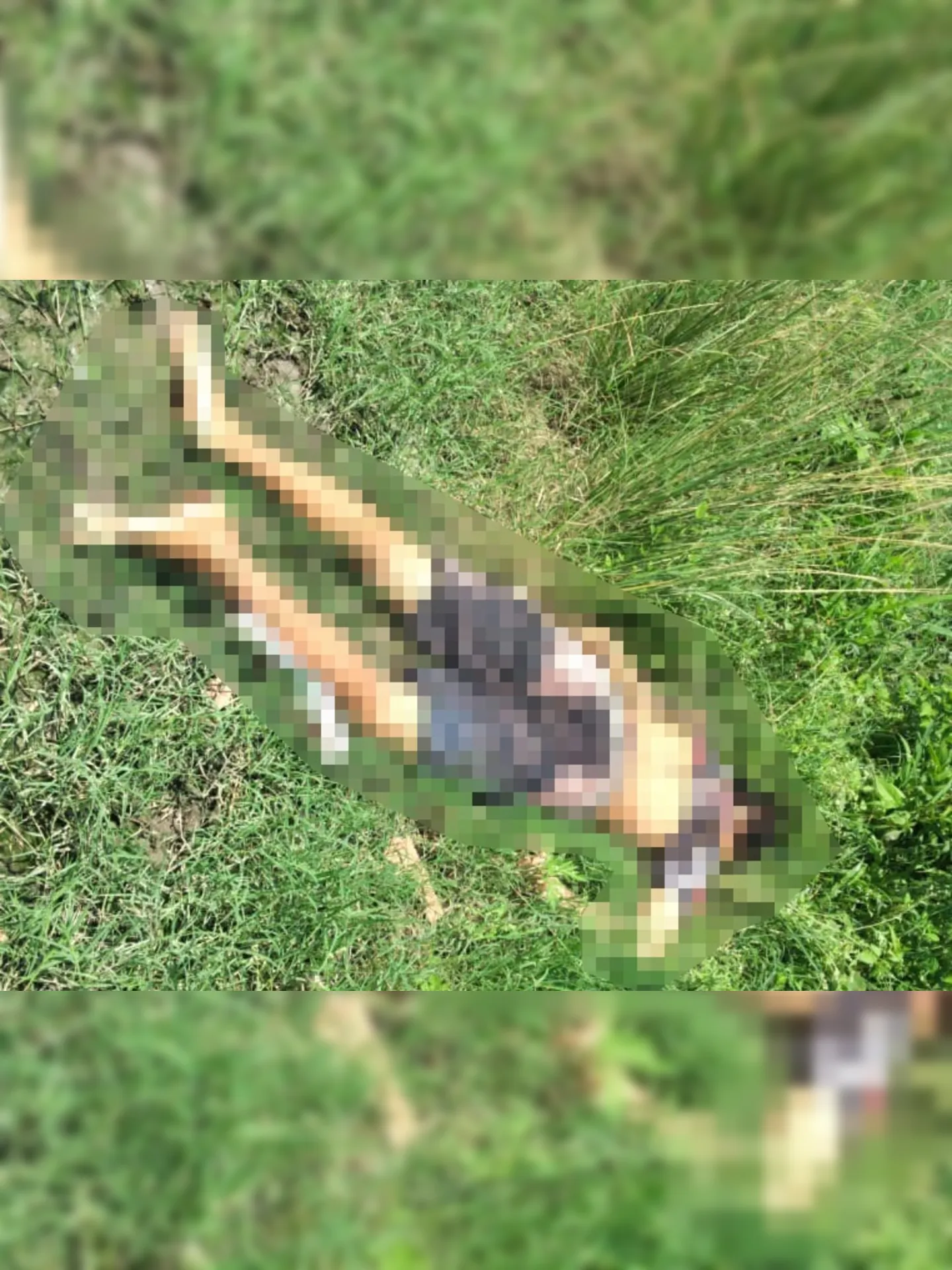 Imagem ilustrativa da imagem Corpo com marcas de tiros é encontrado em São Gonçalo