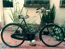 Imagem ilustrativa da imagem Pedalada retrô em Niterói com exposição de bicicletas neste sábado