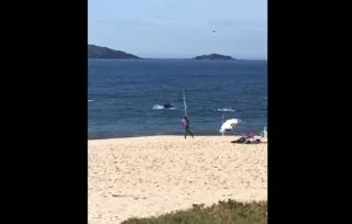 Imagem ilustrativa da imagem Golfinhos fazem a festa na Praia de Itaipuaçu em Maricá