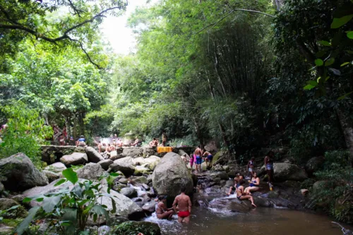 Imagem ilustrativa da imagem Cachoeira do Espraiado vira opção para fugir do calor em Maricá