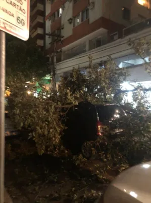 Imagem ilustrativa da imagem Árvore cai sobre carros que passavam em rua de Icaraí e assusta