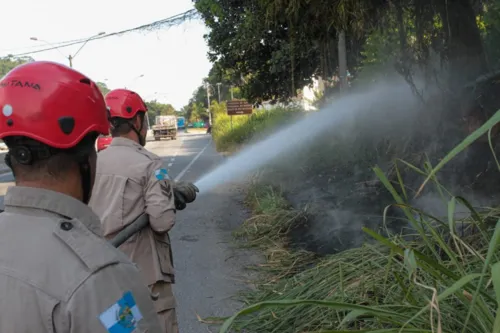 Imagem ilustrativa da imagem Incêndio em vegetação destrói borracharia às margens da RJ-106