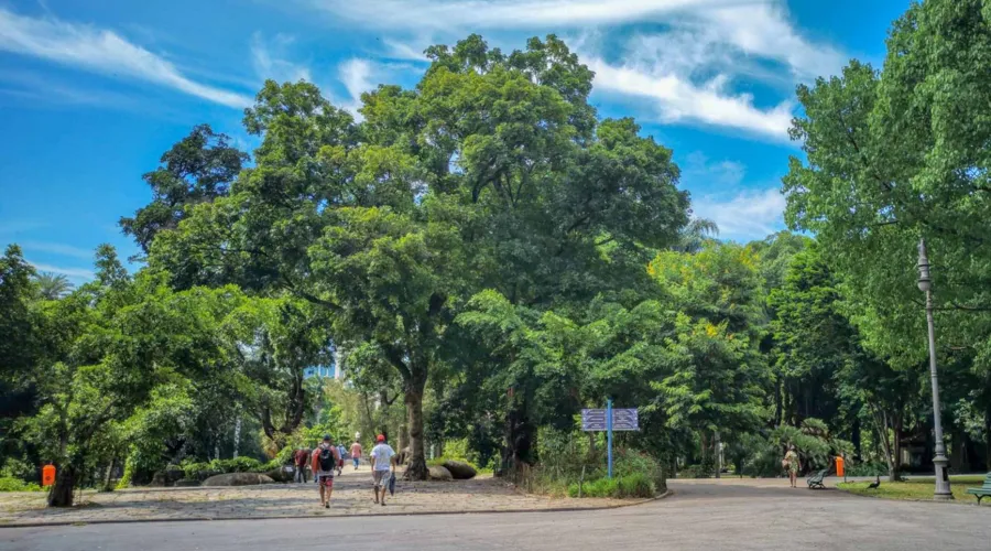 Imagem ilustrativa da imagem Campo de Santana e mais 37 parques são reabertos no Rio