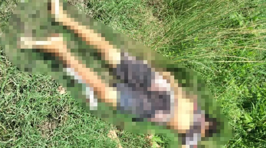 Imagem ilustrativa da imagem Corpo com marcas de tiros é encontrado em São Gonçalo