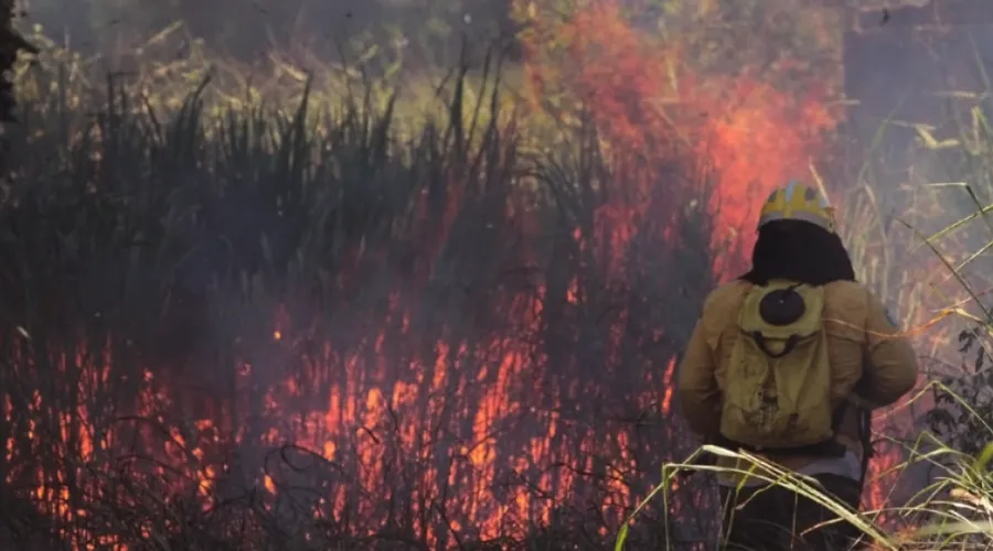 Imagem ilustrativa da imagem Incêndio assusta na Região Oceânica de Niterói