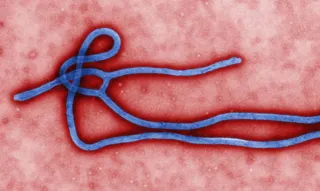 Imagem ilustrativa da imagem Guiné declara novo surto de ebola após pelo menos três mortes