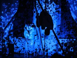 Imagem ilustrativa da imagem Dança e luz no MAC com o festival Perfídia