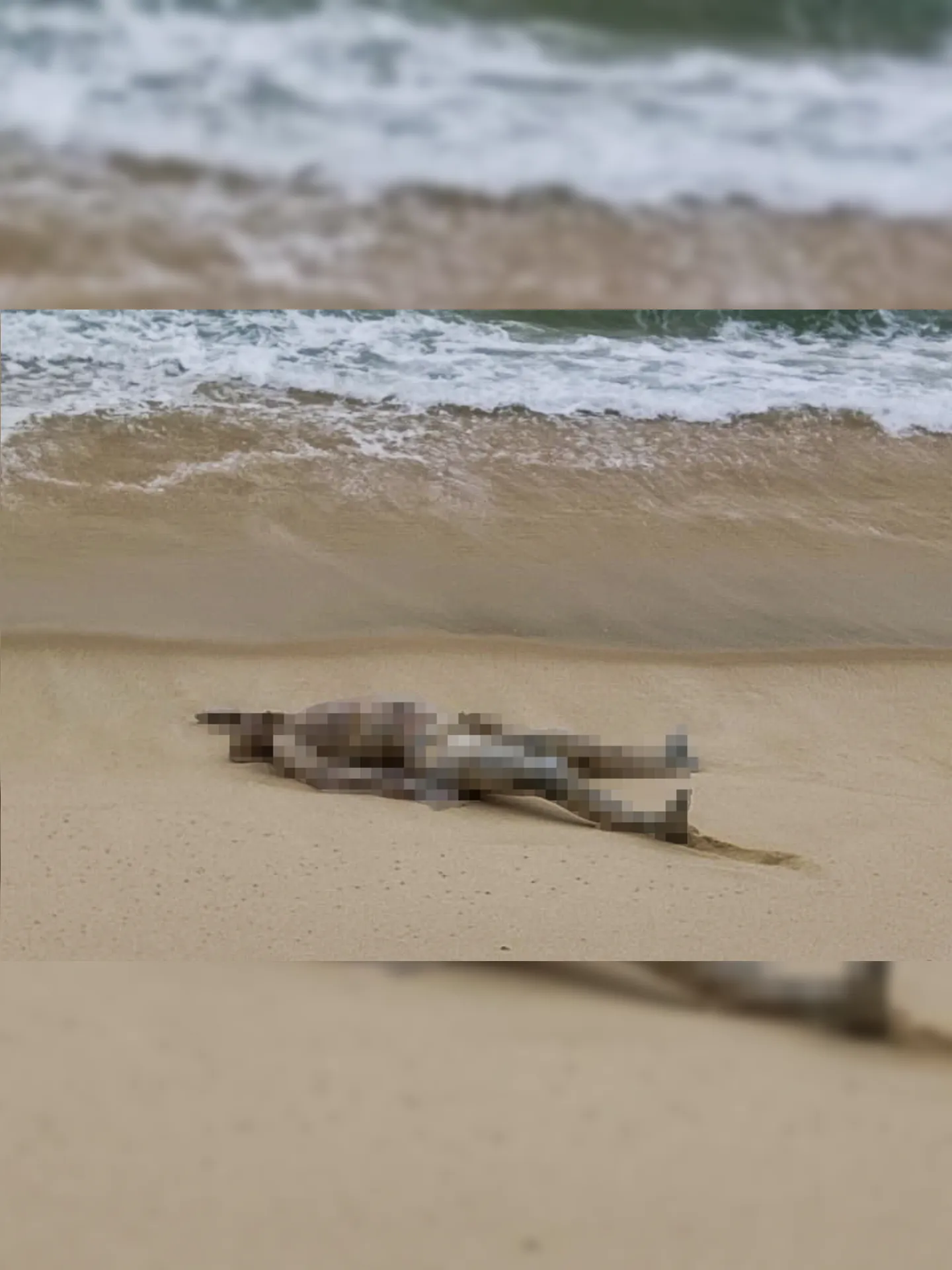 Imagem ilustrativa da imagem Homem é encontrado morto em praia de Maricá