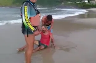 Imagem ilustrativa da imagem Pedestre é atacado por pitbulls durante caminhada em praia de Niterói