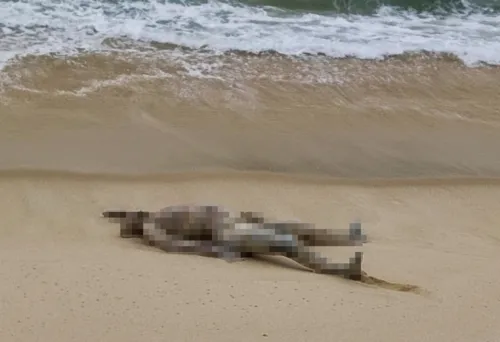 Imagem ilustrativa da imagem Homem é encontrado morto em praia de Maricá