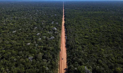 Imagem ilustrativa da imagem Terremoto é registrado na divisa entre o Amazonas e Roraima