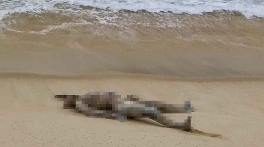 Imagem ilustrativa da imagem Homem é encontrado morto em praia de Maricá