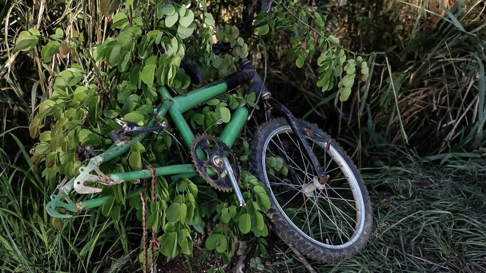 Imagem ilustrativa da imagem Criança em bicicleta é atingida por carro e morre em Niterói