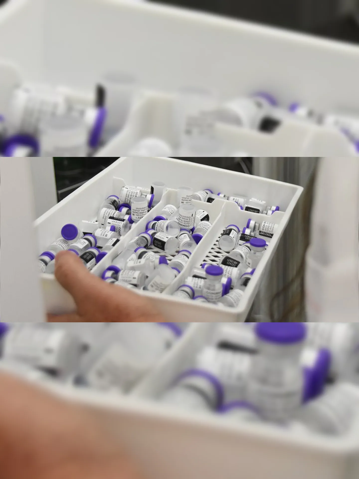 Imagem ilustrativa da imagem Pfizer pede que Anvisa altere temperatura de armazenamento de vacina