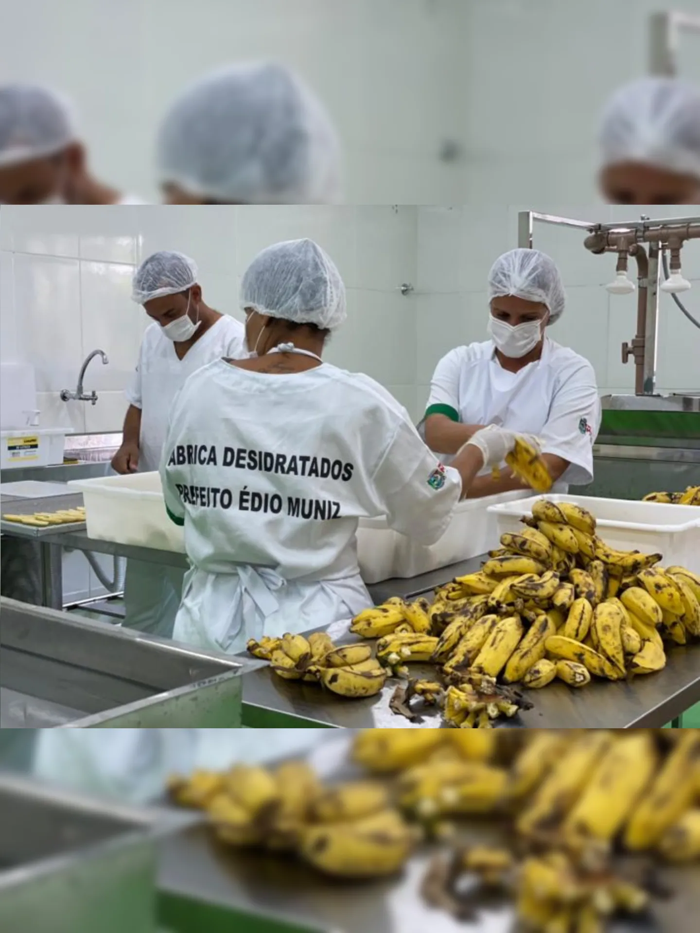 Imagem ilustrativa da imagem Fábrica de alimentos desidratados já opera em Maricá