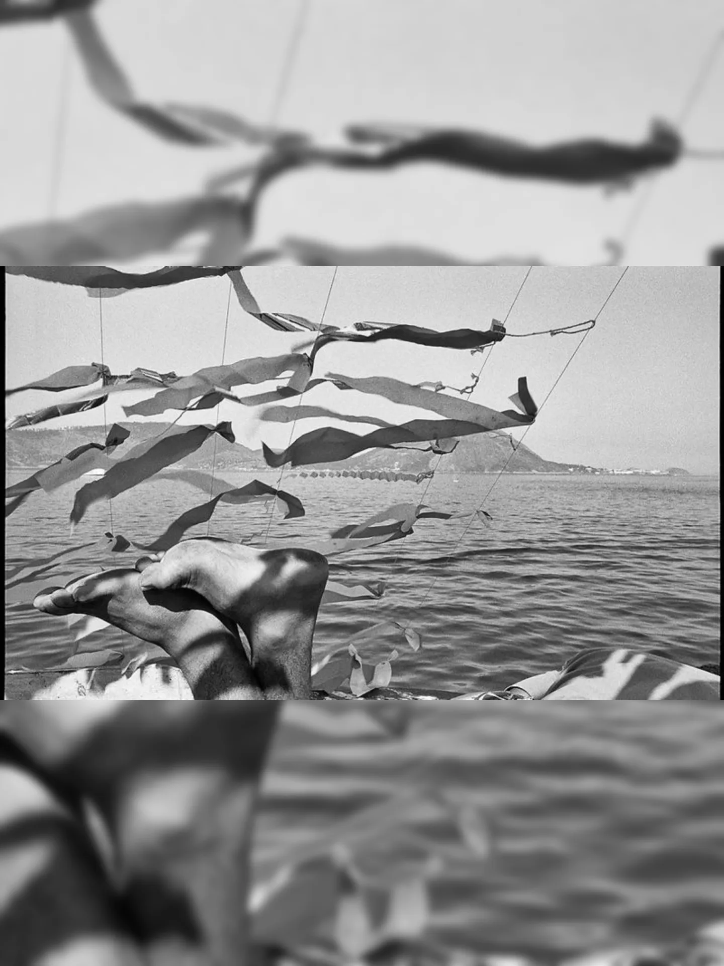 Imagem ilustrativa da imagem MAC de Niterói abre exposição que convida público a buscar novos ares