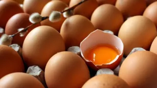 Imagem ilustrativa da imagem Após aumento na venda de ovos, processo de produção é acelerado no Rio