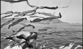 Imagem ilustrativa da imagem MAC de Niterói abre exposição que convida público a buscar novos ares