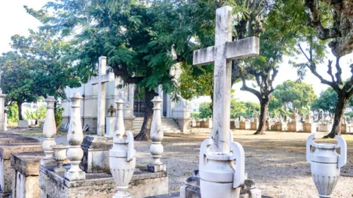 Imagem ilustrativa da imagem Mudanças no trânsito do Rio durante o feriadão de Finados