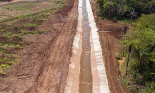 Imagem ilustrativa da imagem Bombeiros retomam buscas por desaparecidos da tragédia de Brumadinho