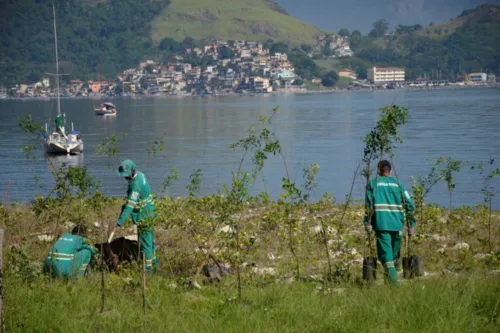 Imagem ilustrativa da imagem Mais de 600 mudas de restinga são plantadas na orla de Charitas em Niterói