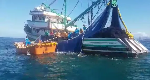 Imagem ilustrativa da imagem Mais de 100 kg de pescado apreendidos em pesca irregular na orla de Niterói
