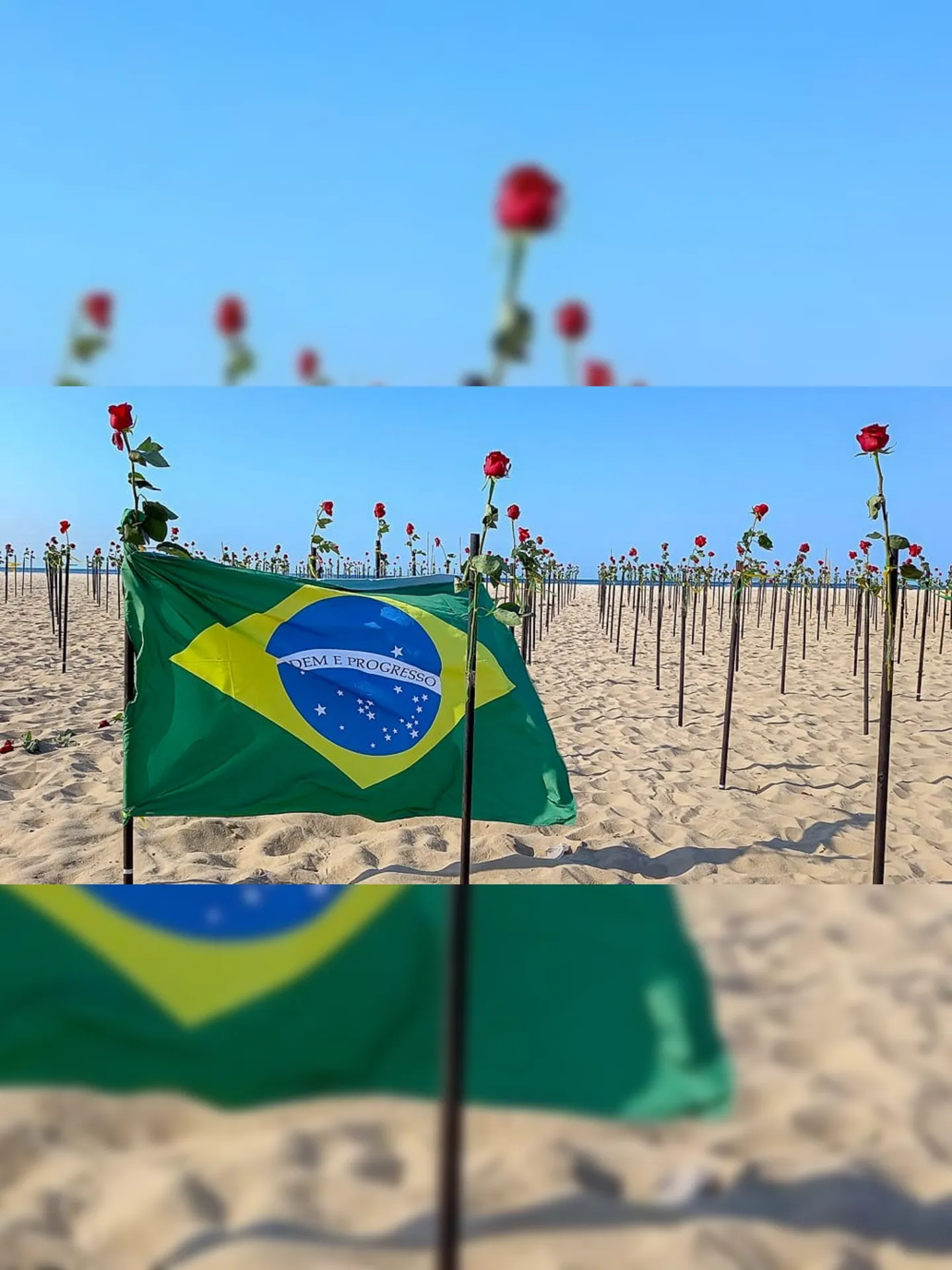 Imagem ilustrativa da imagem ONG faz manifestação em memória dos 500 mil mortos pela Covid-19 no Brasil