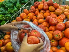 Imagem ilustrativa da imagem Rio cria programa para promover doação de alimentos