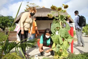 Imagem ilustrativa da imagem Vegetais distribuídos aos maricaenses na Praça Agroecológica de Araçatiba