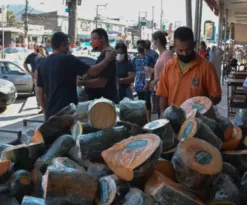 Imagem ilustrativa da imagem Festa da Abóbora em Maricá com 20 toneladas distribuídas aos moradores