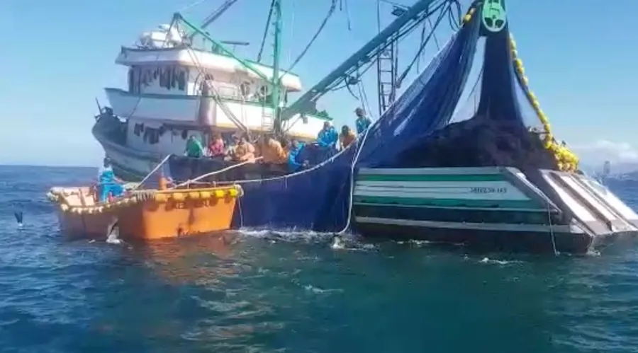 Imagem ilustrativa da imagem Mais de 100 kg de pescado apreendidos em pesca irregular na orla de Niterói