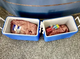 Imagem ilustrativa da imagem Preso tentando furtar 25kg de carne e creme dental em São Gonçalo