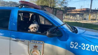 Imagem ilustrativa da imagem Show de fofura: cão Billy é recuperado e desfila de viatura no Rio