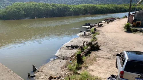 Imagem ilustrativa da imagem Corte de árvores em Piratininga chama atenção da Comissão de Meio Ambiente de Niterói