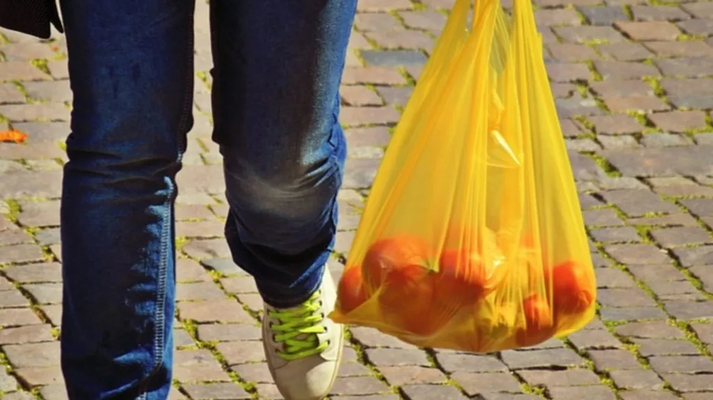 Imagem ilustrativa da imagem Lei que proíbe venda de sacolas descartáveis é aprovada em São Gonçalo