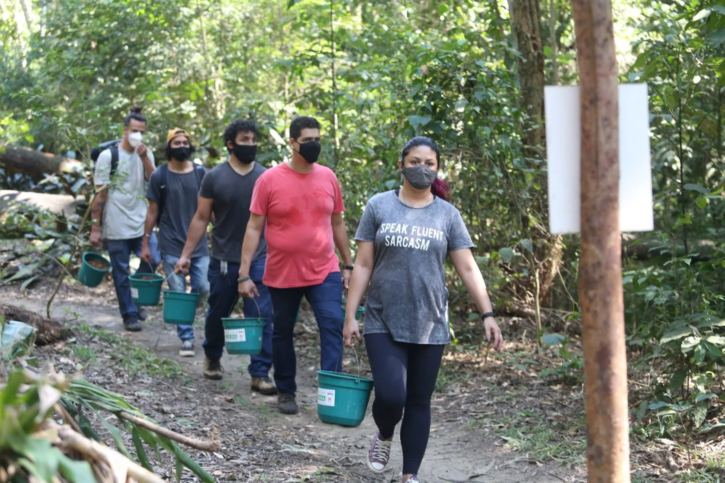 Imagem ilustrativa da imagem Niterói convoca voluntários para mutirão de reflorestamento no Parnit