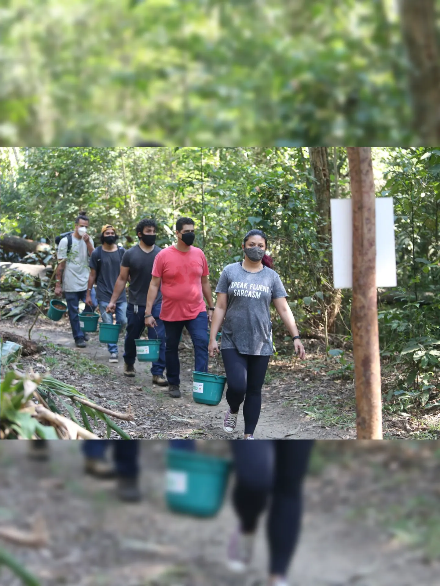 Imagem ilustrativa da imagem Niterói convoca voluntários para mutirão de reflorestamento no Parnit