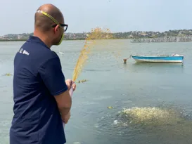 Imagem ilustrativa da imagem Programa pioneiro para revitalização de lagoas é lançado em Maricá