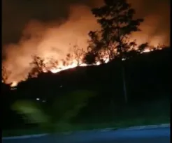 Imagem ilustrativa da imagem Incêndio em vegetação assusta moradores de Itaipuaçu, em Maricá