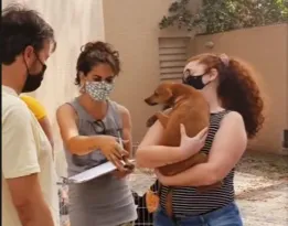 Imagem ilustrativa da imagem Pets vítimas de maus tratos ganham novos lares neste sábado em Niterói