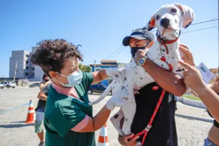 Imagem ilustrativa da imagem Mais de 600 pets são vacinados contra a raiva em Saquarema