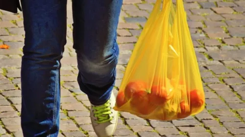 Imagem ilustrativa da imagem Comerciantes não poderão cobrar por sacolas em SG