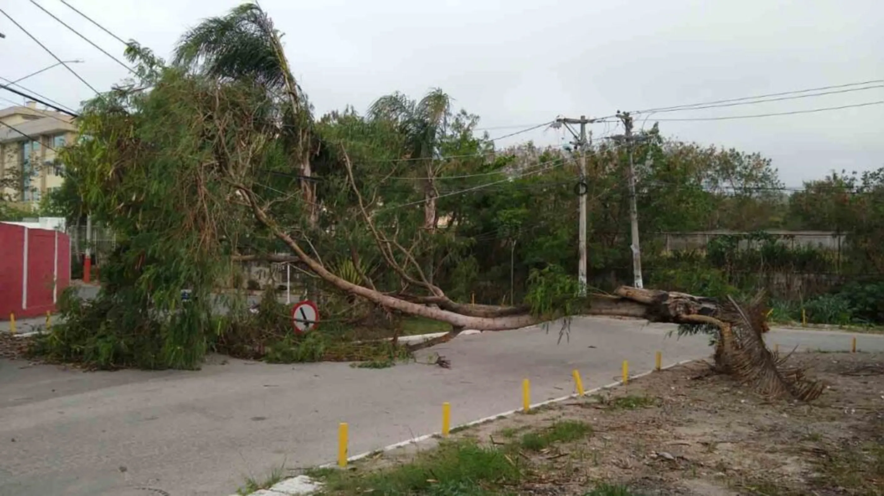 Imagem ilustrativa da imagem Caos devido à ventania: falta de energia elétrica e queda de árvores em SG e Niterói