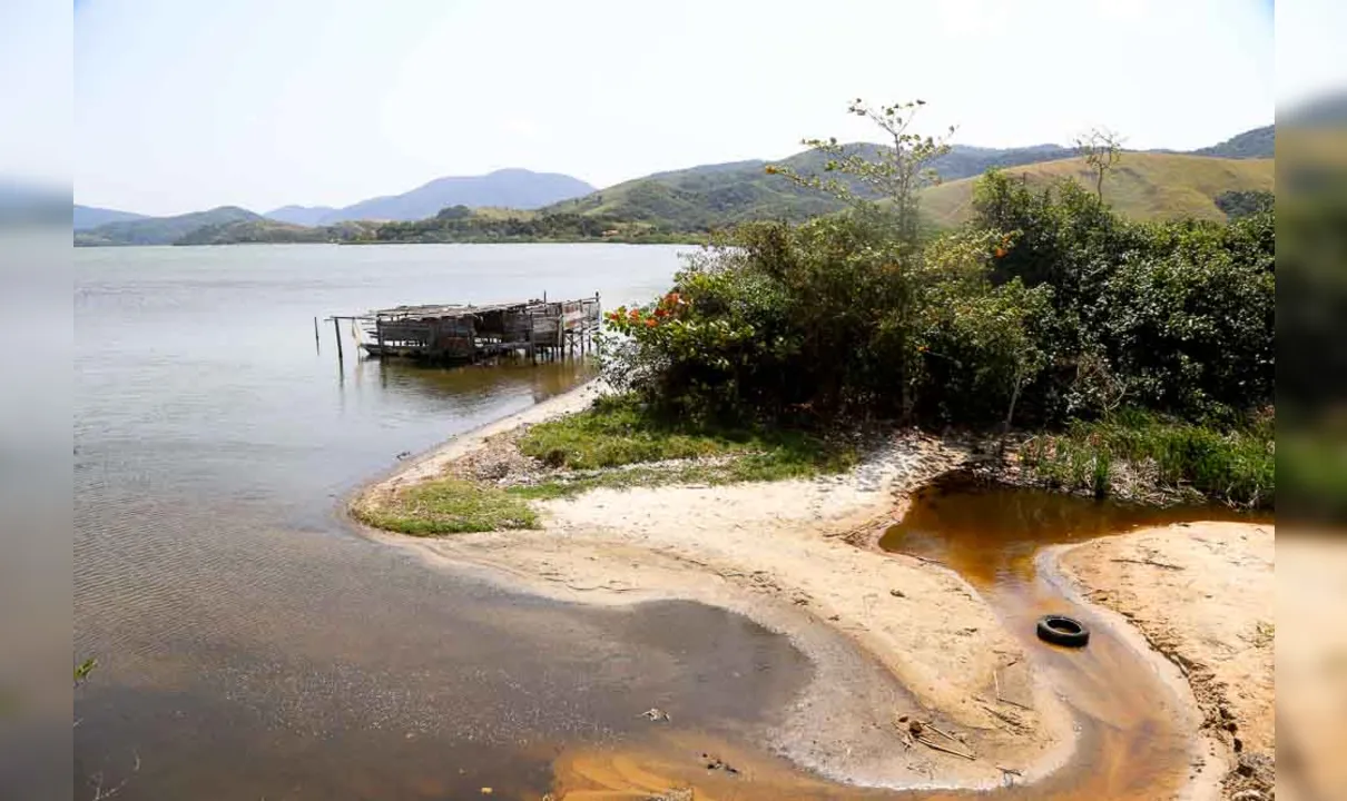 Imagem ilustrativa da imagem Mortandade de peixes dispara em Maricá e desespera comunidade pesqueira